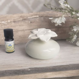 Diffuseur par capillarité pour parfums d'ambiance avec réservoir en céramique blanche et fleur en plâtre