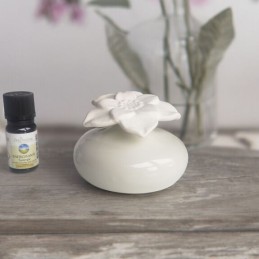 Diffuseur par capillarité pour parfums d'ambiance avec réservoir en céramique blanche et fleur en plâtre