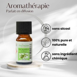 Flacon d'huile essentielle eucalyptus globulus 100% naturelle, aromathérapie, flacon de 10ml