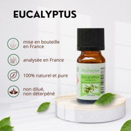 Flacon d'huile essentielle eucalyptus globulus 100% naturelle, aromathérapie, flacon de 10ml