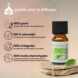 Flacon d'huile essentielle eucalyptus globulus 100% naturelle, aromathérapie, flacon de 10ml