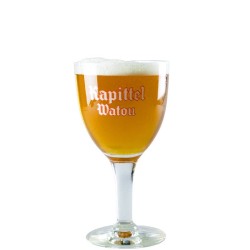 verre Kapittel 25 cl calice translucide avec logotype de la bière Kapittel