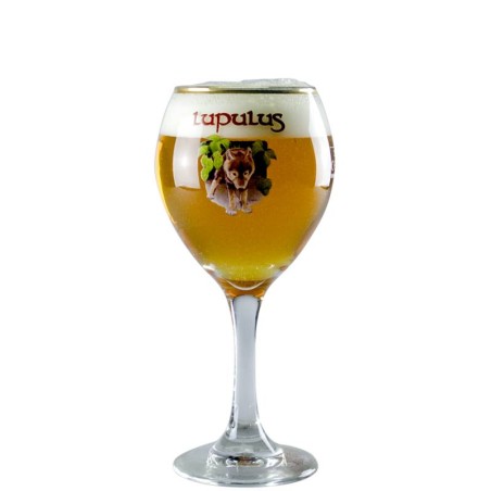 Verre à bière de qualité 25 cl pour une dégustation parfaite de bières Lupulus