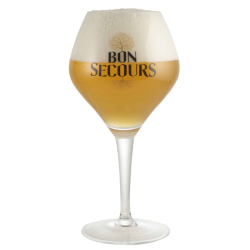 Verre à bière Bon Secours 25 cl pour dégustation de bière artisanale